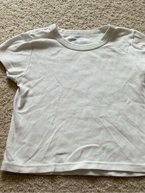 brandy cropped shirt